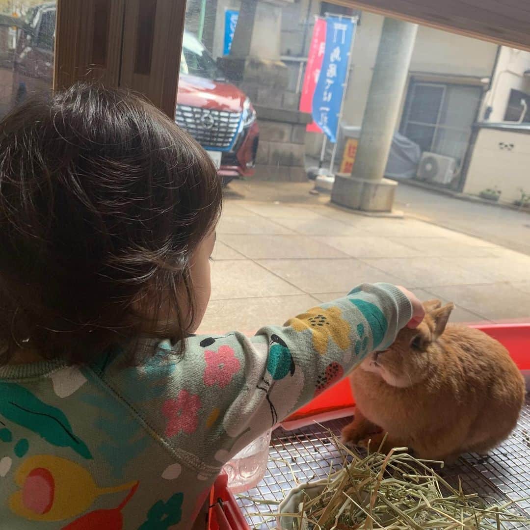 土井千春さんのインスタグラム写真 - (土井千春Instagram)「毎日の生活の事📝 心身は繋がってますから極端に食事制限をしたりハードエクササイズをしたりして逆に壊してしまったら意味がないので私はメンタルケアにかなり力を入れてます✨  早朝のスローランニングもダイエット効果よりも光合成によるセロトニン強化やリフレッシュする自分コントロールの時間として大事にしてます❤️ それからは子供達と近所の神社に行く⛩のが好きです☺️この神社は長女の妊娠中からずっと毎朝お散歩に行ってました。 今朝は可愛いウサギ🐰ちゃんと猫ちゃん🐱を触らせて貰い娘も大喜び❤️ いまは公園も行けないので少しだけ散歩したら帰宅して家事、仕事です☺️ 午前中には大体夜ご飯まで作ります😊 今は外出できない分、掃除やら自宅内での遊びやら動く事を出来るだけ意識してます！  夜寝る前は部屋にアロマを焚いて子供達を寝かしつけた後に528㌹の曲を40分程、聴きながら寝たまま瞑想します🧘‍♀️かなり自己流ですが。笑  最近、コロナニュースばかりなので寝る前には気分を良くしてクリアにして寝たいんです☺️ 心が元気だと身体も健康になりダイエット効果は自然と上がります。 栄養バランスいい食生活、適度な運動、質の良い睡眠、しっかりした便通、メンタルケア これを毎日出来る限りできる事が目標です❤️ 今日もスーパーにすら行ってないけどよく動けたかな😊  #ダイエット効果#スローランニング#食生活#ダイエットチーム#デルール#メンタルケア#瞑想#528㌹」4月22日 15時46分 - chiharudoi