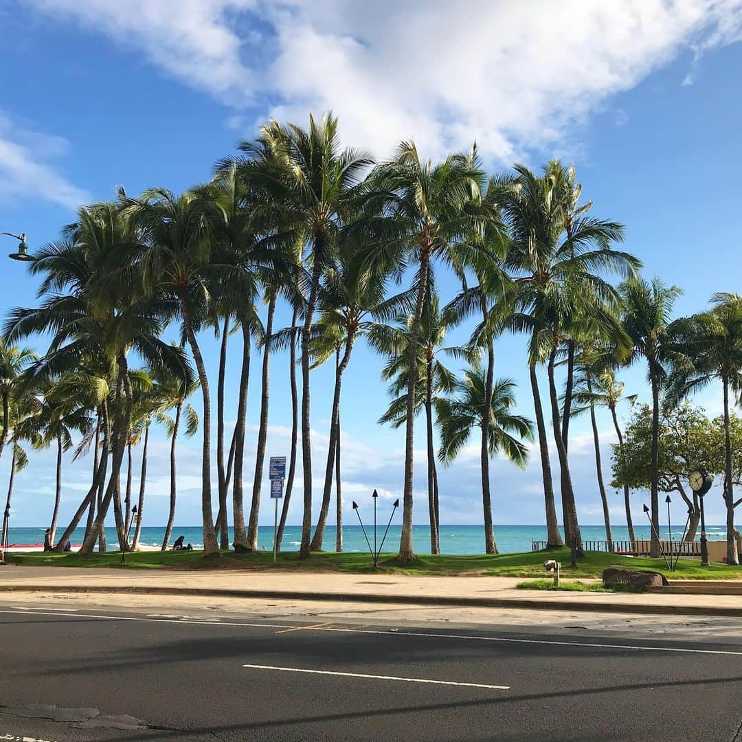 Aloha Street アロハストリートさんのインスタグラム写真 - (Aloha Street アロハストリートInstagram)「自宅待機期間が5月末まで延長に…。運動のため公園は開くようなので、たまにお散歩やジョギングで気分転換しながらがんばります。(ユウリ)  #ハワイ #ハワイの景色」4月22日 15時46分 - alohastreetcom_hawaii
