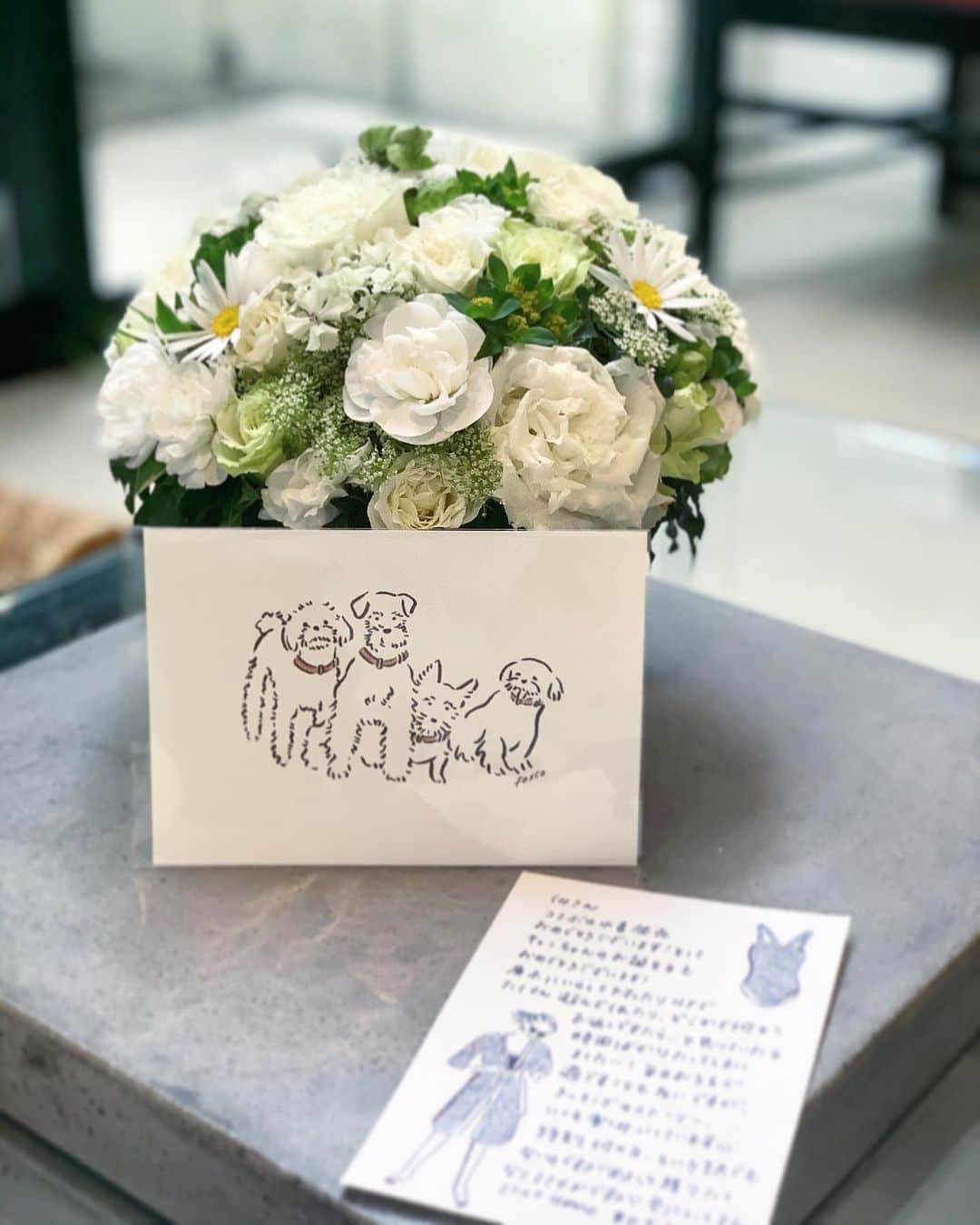 大日方久美子さんのインスタグラム写真 - (大日方久美子Instagram)「・ 突然届いたお花と手紙✉️💐 ・ そこにはコラボ水着とキャンディの誕生日のお祝いのメッセージと共に、去年の夏に展示会に行ったお礼と、NYで合流して一緒に過ごしたことへの感謝の気持ちが。  コラボ企画のお祝いも愛犬のお祝いも初めてで、ましてや私が行きたくて行った展示会や、一緒にバレエを観たくて誘ったNY旅行へのお礼だなんて、何事かとびっくりしてたら、最後に「いつかお返しをしたくて」と。  お返しなんてしてもらうようなことをした訳じゃないのに、私がしたことを大切に受け止めてくれていたんだなぁ。と知って、嬉しくて涙が出てきた。  こんな時だから自分のストレスを他者にぶつける人も多いし、皆んな自分の生活でいっぱいいっぱいなはずなのに、こんな風に愛を送ってくれてありがとう。  私もきちんと感謝の気持ちを伝えられる人になりたいな。  人は自分がされたことしかわからないというけど、こうして愛を受け取ると、また誰かに愛を届けたくなるものですね。  お陰で今私には沢山の愛が溢れてる。 ・ ・ #自分メモ #4匹のイラストが可愛すぎて #彼がそのままTattoにしそうな勢い😂」4月22日 16時20分 - kumi511976