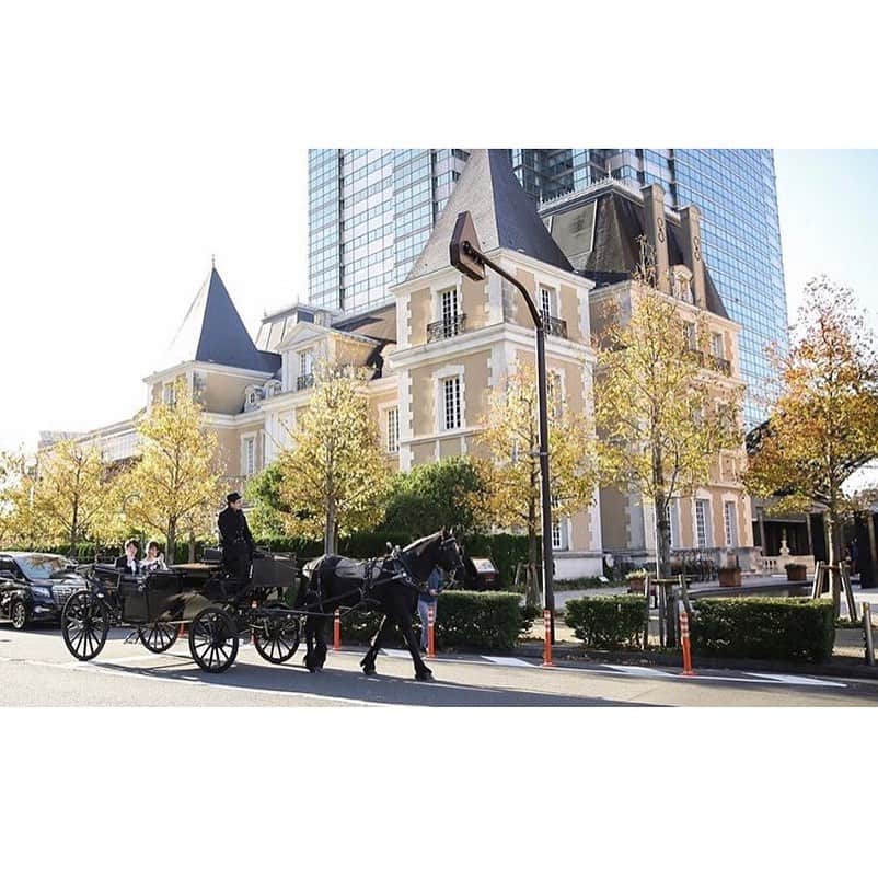 みんなのウェディングさんのインスタグラム写真 - (みんなのウェディングInstagram)「. ====================== #みんなのウェディング をつけてお写真を投稿してください📸💕 素敵な投稿は記事内や公式IGで ご紹介させていただきます♡ ====================== . 挙式の最後、クロージングハグをされたおふたり👰🤵💐 . 少し照れつつも、笑顔でハグする姿がとってもかわいいです🥰 . 袖のレース部分がクラシカルなウェディングドレスは、 #a_by_hatsukoendo のもの✨ . 色味を抑えた#sarai_wedding さんのブーケもシックで素敵です💐 . そして、とっても独特な演出も… . それは、なんと馬車！ . 漆黒の馬の馬車に乗って、お散歩ができる演出も取り入れたおふたり🐴 . ロイヤルウェディングのような、記念に残るワンシーンとなったはず😊 . @mei_wedding1130 さんのpicを ご紹介させていただきました 👰🏻🤵🏻💒✨ ありがとうございます 😊💕 . **************************************** 結婚式準備に役立つ情報毎日更新中🎉 詳しくはプロフィールリンク🔗をcheck❣️ . . 👉結婚式場の口コミや本当の費用明細は 《みんなのウェディングTOP》へ💓 . 👉結婚式準備に役立つアイデアは 《みんなのウェディングの記事を読む》へ💓 . 👉「こんなときみんなはどうしたの？😢」 みんなに意見やアドバイスをもらいたい花嫁さんは 《花コミュ》へ💓 . . ****************************************. . .  #プレ花嫁 #結婚準備 #結婚 #ブライダル #卒花 #卒花嫁 #結婚準備 #2020冬婚  #2020夏婚 #2020秋婚 #大人婚  #大人花嫁 #ウェディング #ホテルウェディング #ホテル婚 #東京花嫁 #挙式 #挙式演出 #演出 #ホースパレード #クロージングキス #ハツコエンドウ」4月22日 16時22分 - minnano_wedding