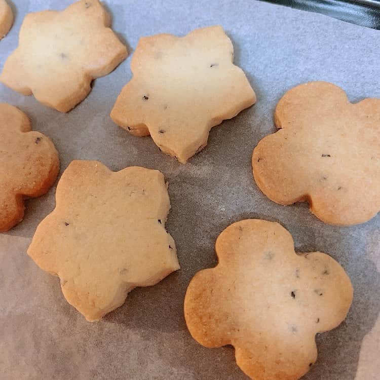 佃井皆美さんのインスタグラム写真 - (佃井皆美Instagram)「I baked the cookies.🍪 The model is the Egyptian ruins I saw in London.😂 When I saw this ruin, I thought, "It’s like some cookies!”😂 This museum was a lot of fun.✨ Petrie Museum of Egyptian Archaeology  #cookies  #london  #stayhome」4月22日 16時31分 - minamitsukui