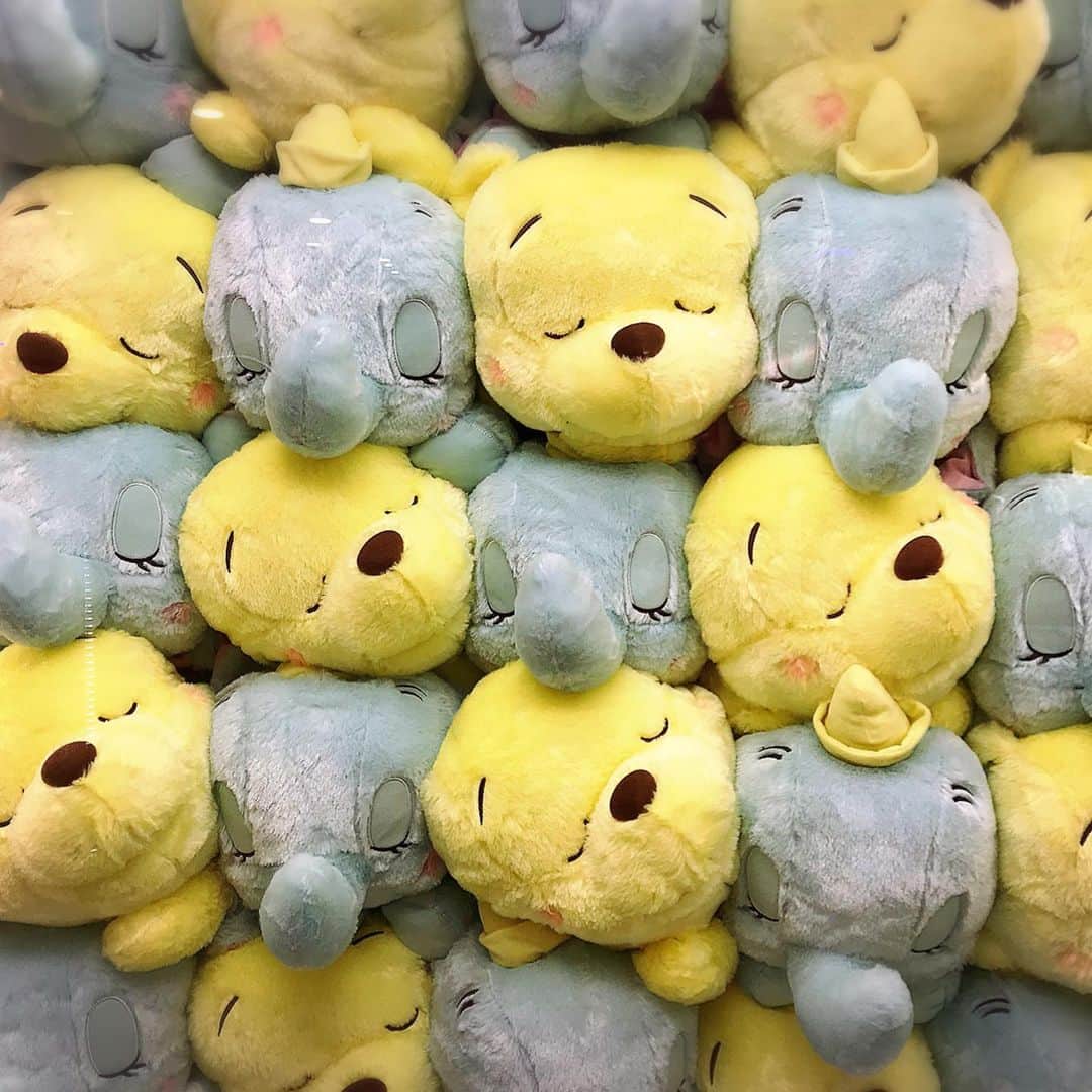 睦さんのインスタグラム写真 睦instagram いつか うもれたい ダンボ Dambo ぬいぐるみ 寝てる 可愛い うもれ たい ディズニー Disney Magic 魔法 Pooh Winniethepooh プーさん くまのプーさん 夢 Dream コラボ ぬい撮り 夢のコラボ