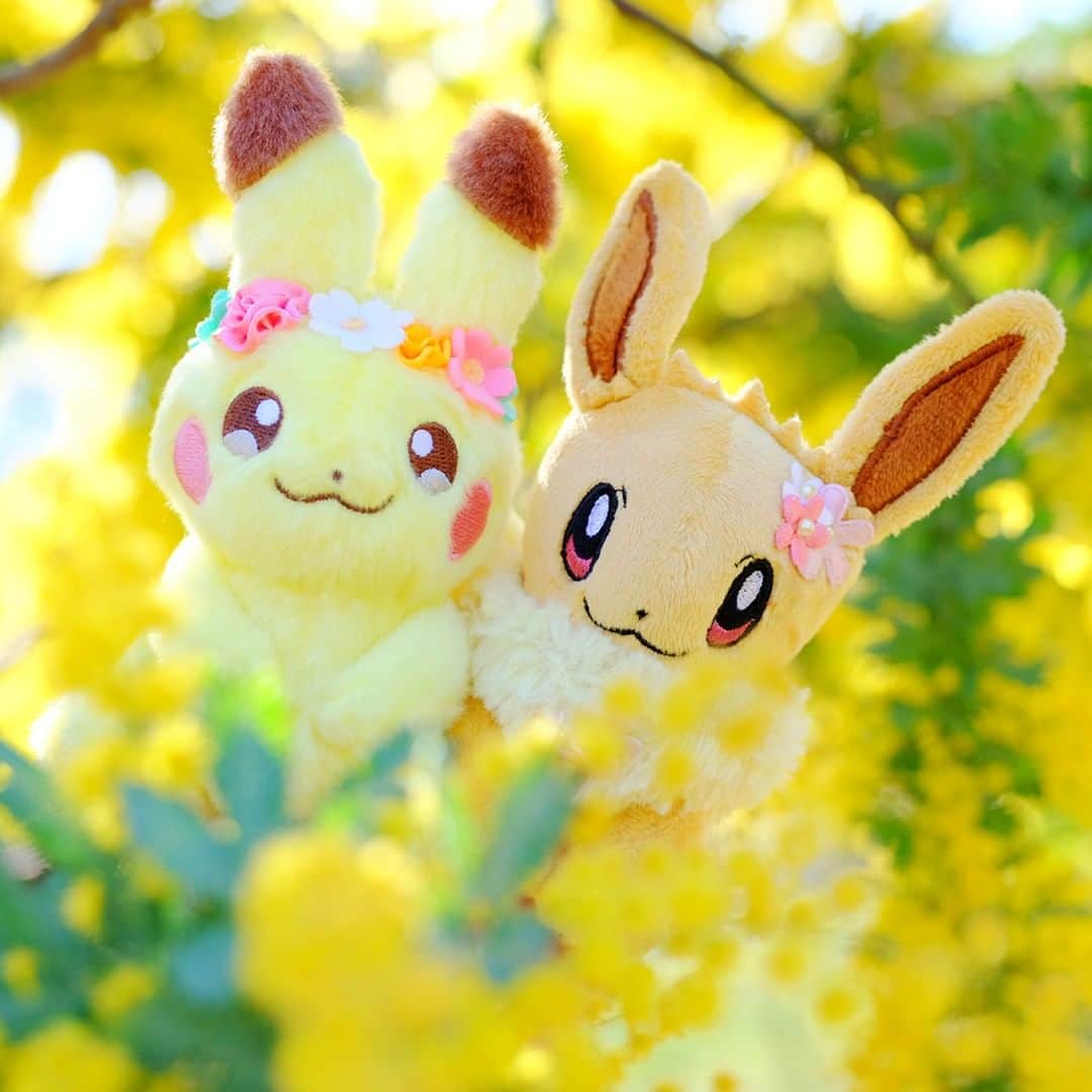 ピカチュウ公式Instagramさんのインスタグラム写真 - (ピカチュウ公式InstagramInstagram)「【今日のピカチュウ】 一面に広がったお花が綺麗だね🥰✨ ピカチュウたちもお花の飾りをつけてもらって嬉しそう🏵🎶 #pikachu #eevee #pokemon #pikachu_snap #photooftheday #spring #flower #ピカチュウ #イーブイ #春 #花 #花畑 #ポカポカ」4月22日 18時00分 - pokemon_jpn