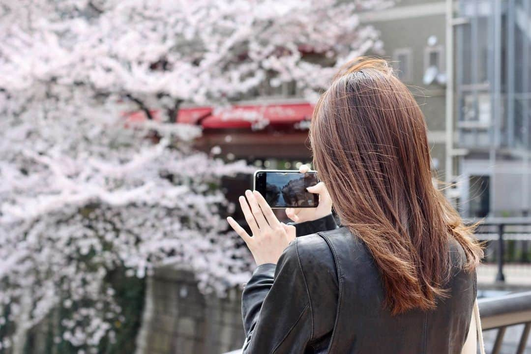 工藤麻美子のインスタグラム：「今年は見れなかったから去年の春を。  #目黒川 #目黒川の桜 #お花見 #桜 #散歩 #散歩日和」