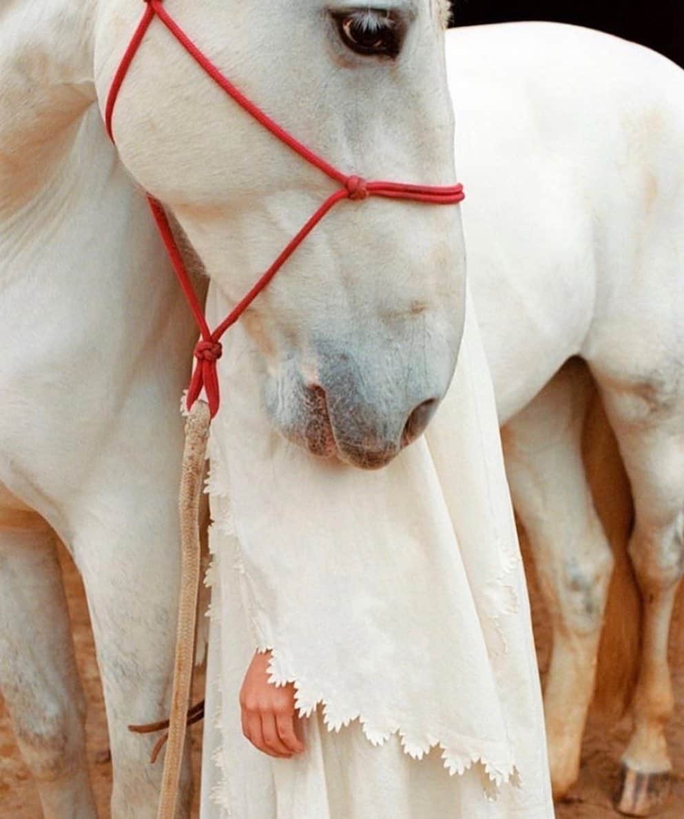 エステルデヴェのインスタグラム：「@julietteabitbol via @ad_magazine ❤️」