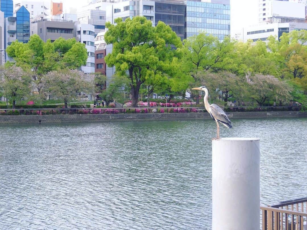 桂春雨のグルメインスタ