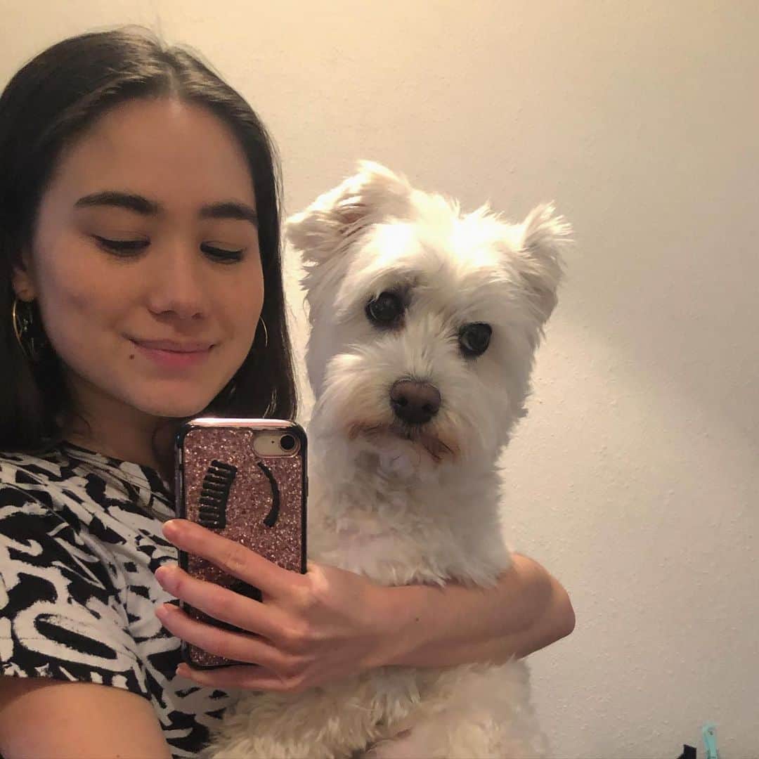 冨田麻耶のインスタグラム：「愛犬と可愛い写真を撮るのって案外難しいな、と思った瞬間でした✨  1年前に買ったキアーラのカバーが所々ハゲてきて、なんだか虚しい状態に💦キラキラが落ち始める前に早く買い替えよ」