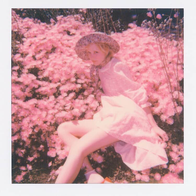 ペティート・メラーさんのインスタグラム写真 - (ペティート・メラーInstagram)「#PinkierDays #Polaroid by @katebiel」4月23日 3時58分 - petitemeller