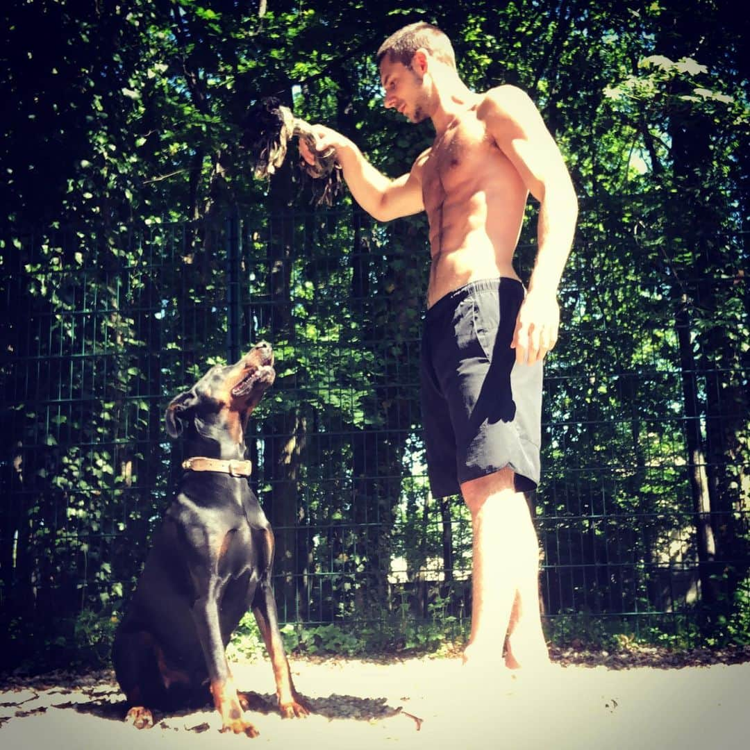 モルガン・シプレのインスタグラム：「I guess he is the happiest about this quarantine time 🐕‍🦺 @ice #doberman」