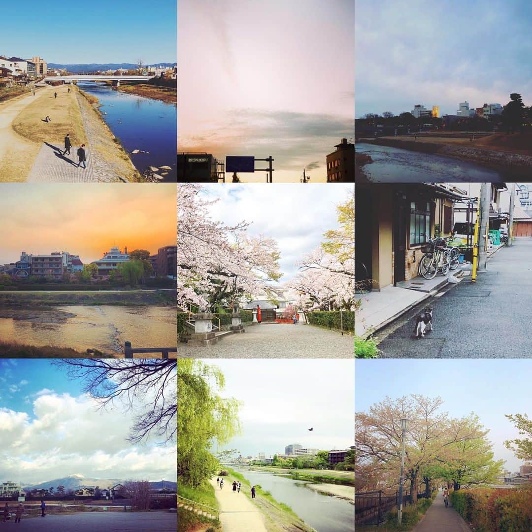 CHIPPRUSONのインスタグラム：「季節のいろあつめ2020  見過ごしてしまいそうな空色を映して、淡いグラデーションのコレクション。冬から春へと季節は巡る。写真は暮らしの宝箱。」