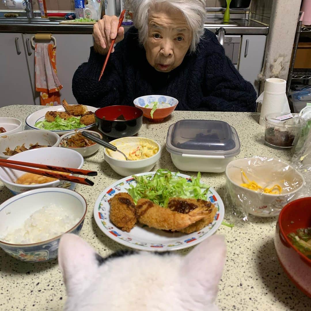 Kachimo Yoshimatsuさんのインスタグラム写真 - (Kachimo YoshimatsuInstagram)「一緒に夕ごはん。 今日は青木肉店のエビフライ、カキフライ、コロッケと持ち越しおかず #うちの猫ら #nanakuro #バーバ #猫 #ねこ #cat #ネコ #catstagram #ネコ部 http://kachimo.exblog.jp」4月22日 21時20分 - kachimo