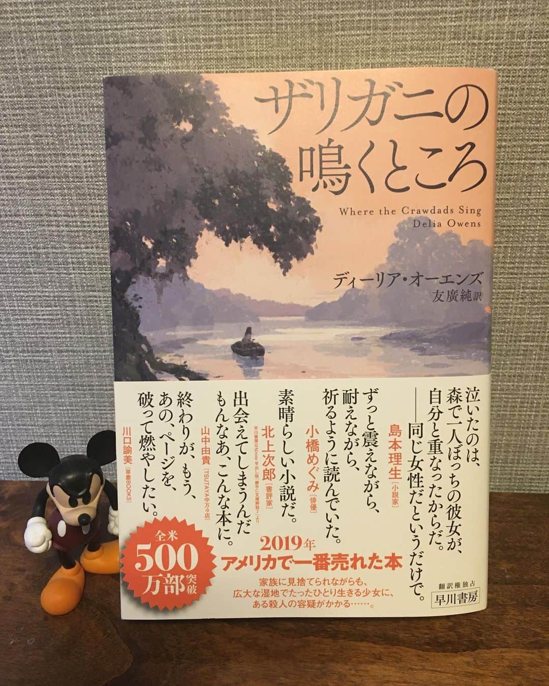小橋めぐみのインスタグラム：「カッコ良く、いつも大きな愛がいっぱいの泉水さん @izumibon  からバトン受けとりました #ブックカバーチャレンジ📘  1冊目は、今年のはじめに読んだのに、 もう今年これ以上の物語には出会えない と思うほど、胸を鷲掴みされた小説です。熱い想いをツイートしたら、それが帯の言葉になったという、、 本好きには堪らない、一生大切にしたい一冊になりました。 ★ 家族に捨てられ、6歳からたったひとり、湿地で生き抜いてきた孤独な少女カイアに、殺人の容疑がかかる…。 ずっと震えながら、耐えながら、祈るように読んでいた。 自然界も、人間界も、無常で、残酷で、果てしなく優しい。 ★ ★ ★ 7日間のブックカバーチャレンジとは、読書文化の普及に貢献するためのチャレンジで、参加方法は好きな本を1日1冊、7日間投稿するというもの。本についての説明なしに表紙だけの画像をアップして、そして毎日1人のFB.Instagram友達を招待してこのチャレンジに参加していただくようお願いします。  よく好きな本をアップしているので、、 どう分けようかなあと考えたのですが🤔 2冊目以降は、ストーリーの方にあげます👆 そしてバトンは、 お互い「めぐちゃん」と呼び合う20年来の友人で女優の松下恵　@matsushita_megumi ちゃんへ❤️ #ザリガニの鳴くところ  #hayakawashobo」