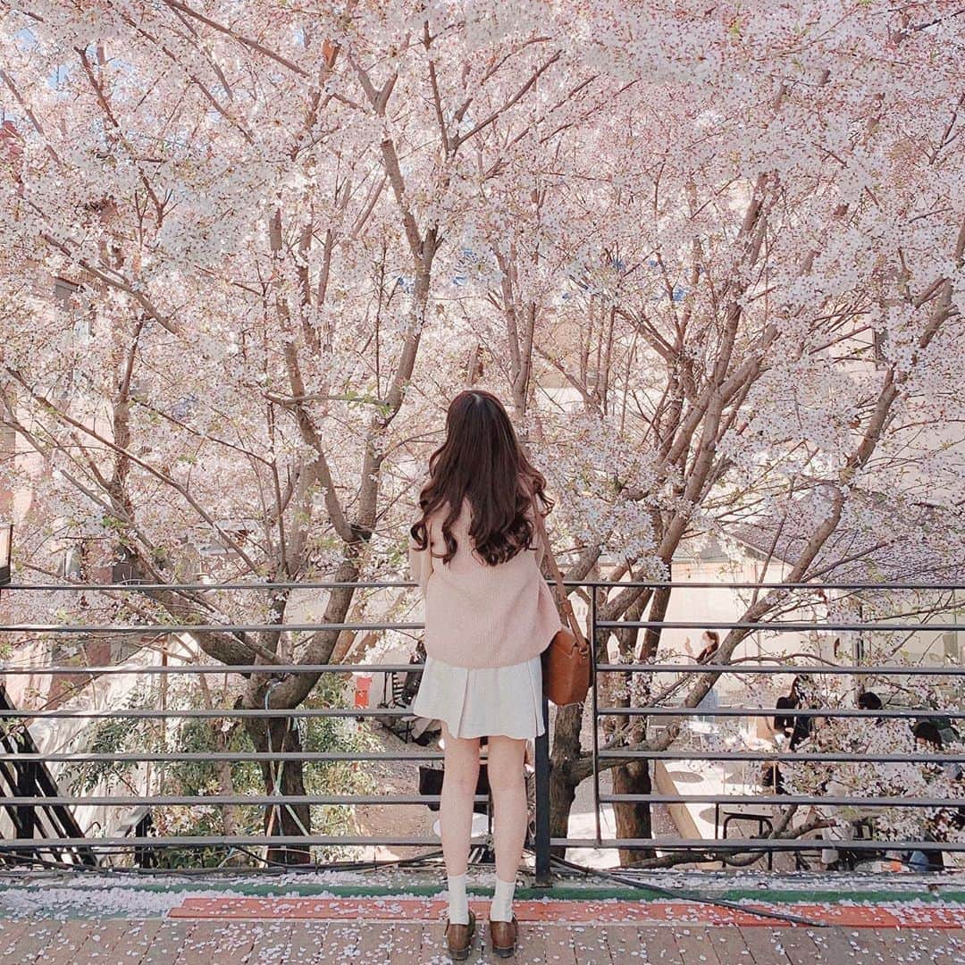 ユンジュのインスタグラム：「bloom 🎐」