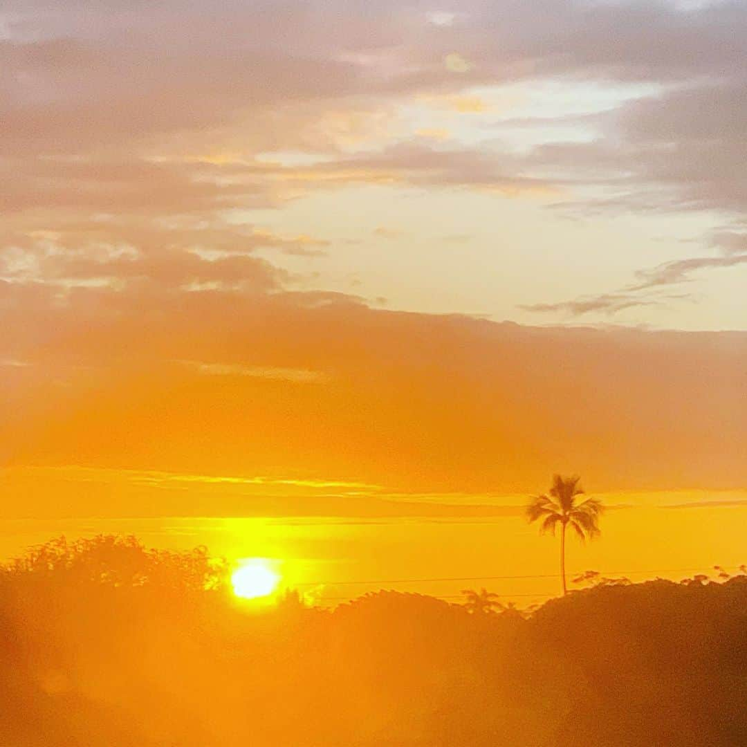 Hundred Dreamsさんのインスタグラム写真 - (Hundred DreamsInstagram)「ワイキキサンセット  #hawaii #hawaiibusiness #ワイキキ #サンセット #夕陽 #ハワイ #ヤシの木」4月22日 21時44分 - hundred_dreams