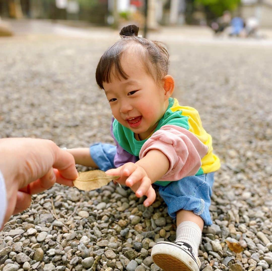 尾形貴弘さんのインスタグラム写真 - (尾形貴弘Instagram)「娘達は元気です！  そろそろインスタライブかYouTubeライブやってみようかな。。。 1人でできるかな。。。 #柴犬大好き #柴犬マニア  #愛犬  #赤柴 #しばけん  #しばちゃん  #しばいぬ大好き  #shibainu  #shiba_snap  #犬ばか部  #いぬばか部 #ミク #三九 #39 #パンサー尾形 #赤ちゃん #赤ちゃんのいる暮らし #赤ちゃんと犬 #2歳 #ミクサクタカヒロ #サンキュー #ママリ #ベビフル」4月22日 22時07分 - miku3_miku_9