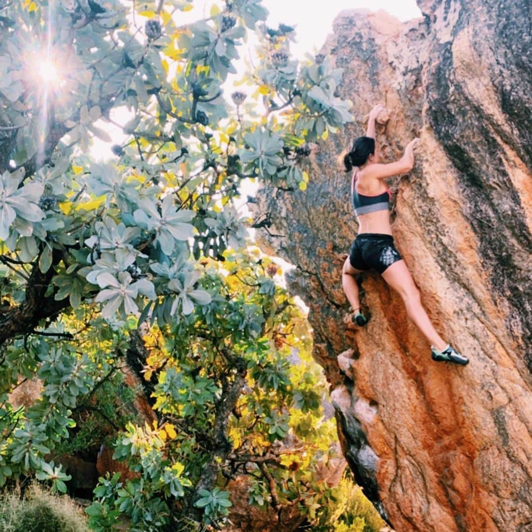 ジュリアン・ワームさんのインスタグラム写真 - (ジュリアン・ワームInstagram)「Reminiscing about a wonderful weekend in Rocklands some weeks ago 🇿🇦😍 . 📸 @flowingbody」4月22日 22時24分 - julewurm