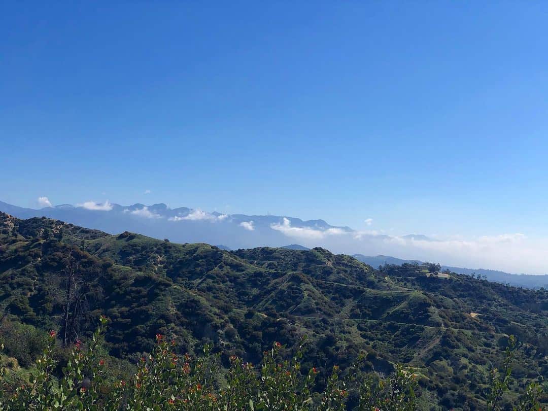 アナベル・ウォーリスのインスタグラム：「Very grateful to escape into these hills- on the permitted paths!!- at this time. Thanks Earth. #earthdayeveryday 🌎」