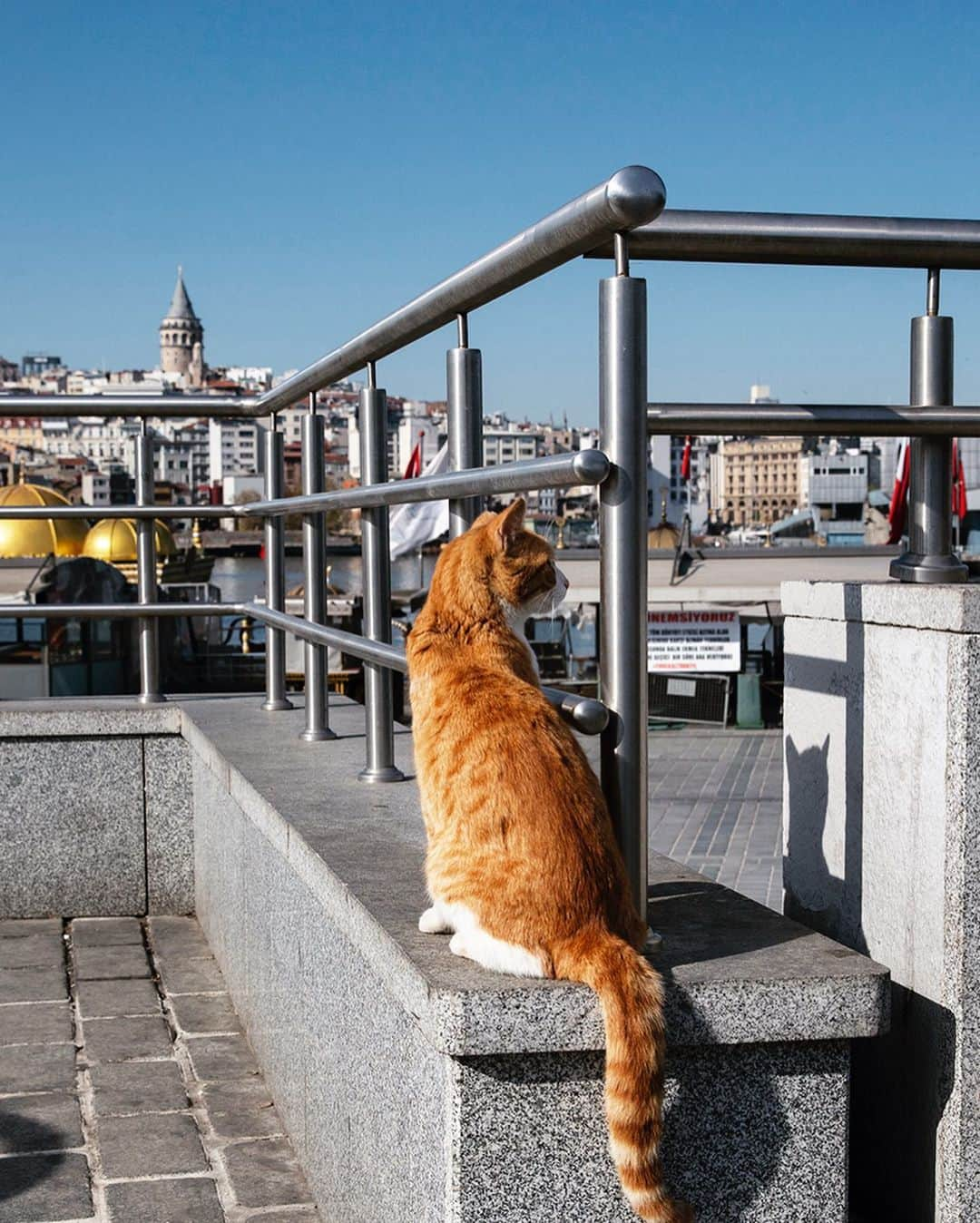 Mustafa Sevenさんのインスタグラム写真 - (Mustafa SevenInstagram)「#Korona günlerinde #Istanbul | Istanbul in #Corona days !  Nisan / April 2020  #StoryOfIstanbul #Documantary #StreetPhotography」4月23日 0時02分 - mustafaseven