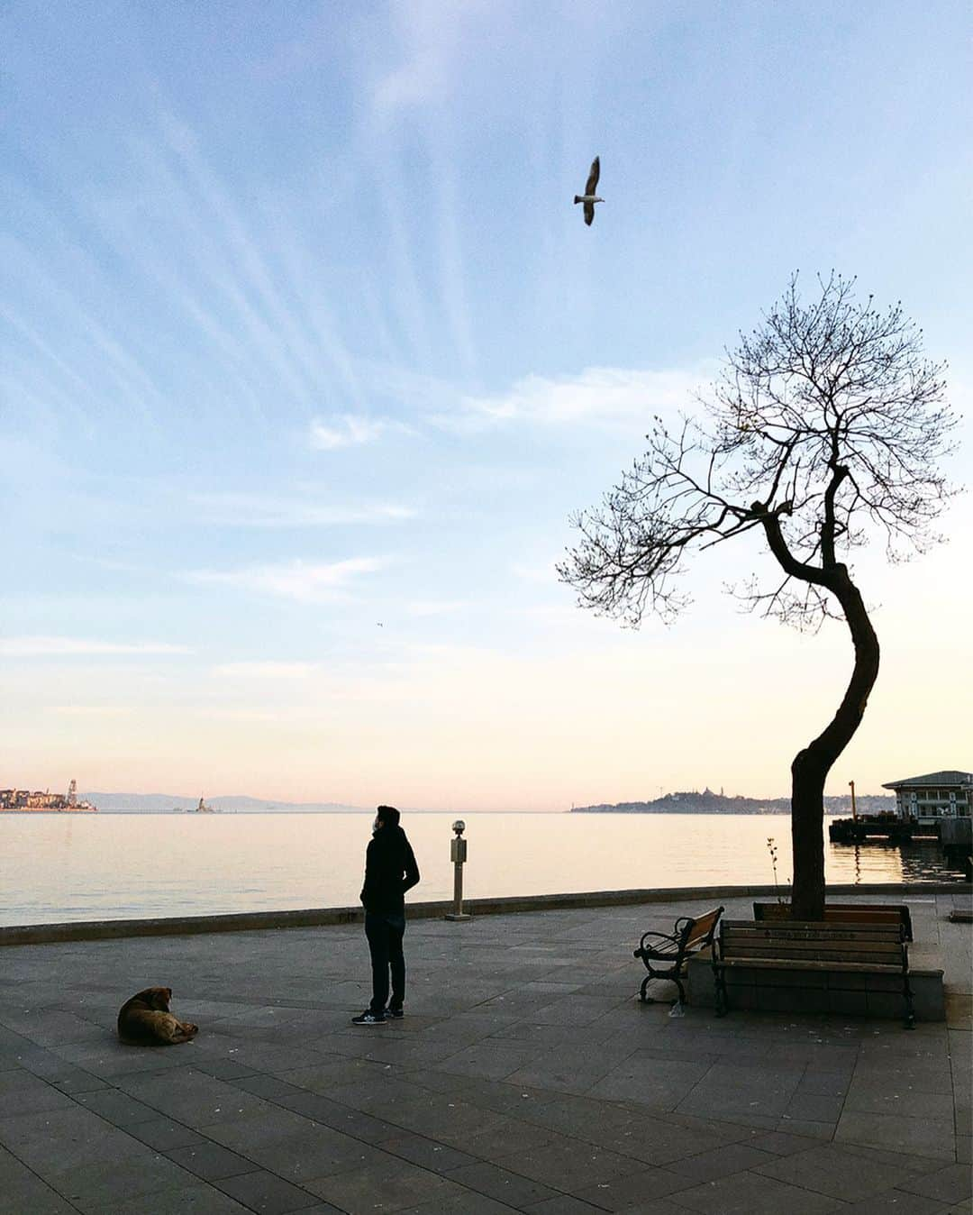 Mustafa Sevenさんのインスタグラム写真 - (Mustafa SevenInstagram)「#Korona günlerinde #Istanbul | Istanbul in #Corona days !  Nisan / April 2020  #StoryOfIstanbul #Documantary #StreetPhotography」4月23日 0時02分 - mustafaseven