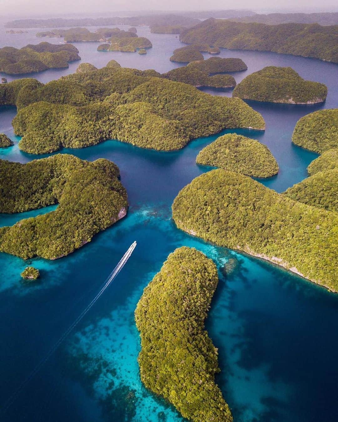 オールバーブラウンさんのインスタグラム写真 - (オールバーブラウンInstagram)「We are celebrating #Earthday today by appreciating places that are trying their upmost to make a sustainable and equitable future, like Palau, the first county to make visitors sign an eco-pledge in their passport upon arriving. 🐚 We hope that other countries will follow suit to protect the planet for future generations. 🌏 We are also dreaming about visiting the captivating Jellyfish Lake on Eli Malk island, part of the group of small, mostly uninhabited islands within #Palau. ⬆️ #PalauPledge #DoseOfSun #OBsAroundTheWorld」4月23日 0時54分 - orlebarbrown