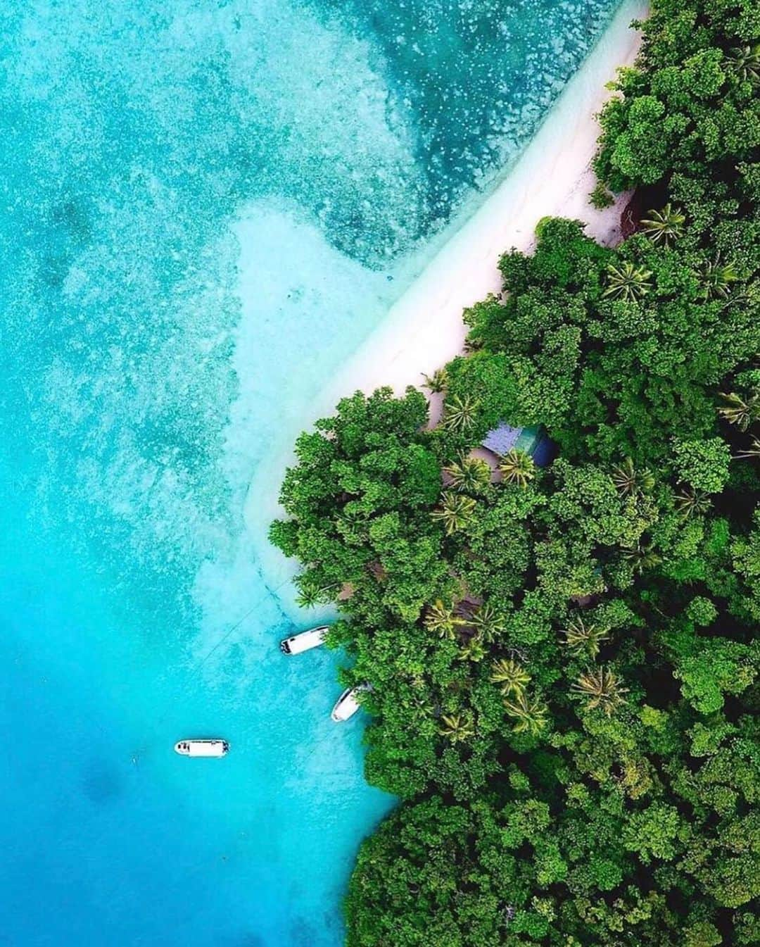 オールバーブラウンさんのインスタグラム写真 - (オールバーブラウンInstagram)「We are celebrating #Earthday today by appreciating places that are trying their upmost to make a sustainable and equitable future, like Palau, the first county to make visitors sign an eco-pledge in their passport upon arriving. 🐚 We hope that other countries will follow suit to protect the planet for future generations. 🌏 We are also dreaming about visiting the captivating Jellyfish Lake on Eli Malk island, part of the group of small, mostly uninhabited islands within #Palau. ⬆️ #PalauPledge #DoseOfSun #OBsAroundTheWorld」4月23日 0時54分 - orlebarbrown