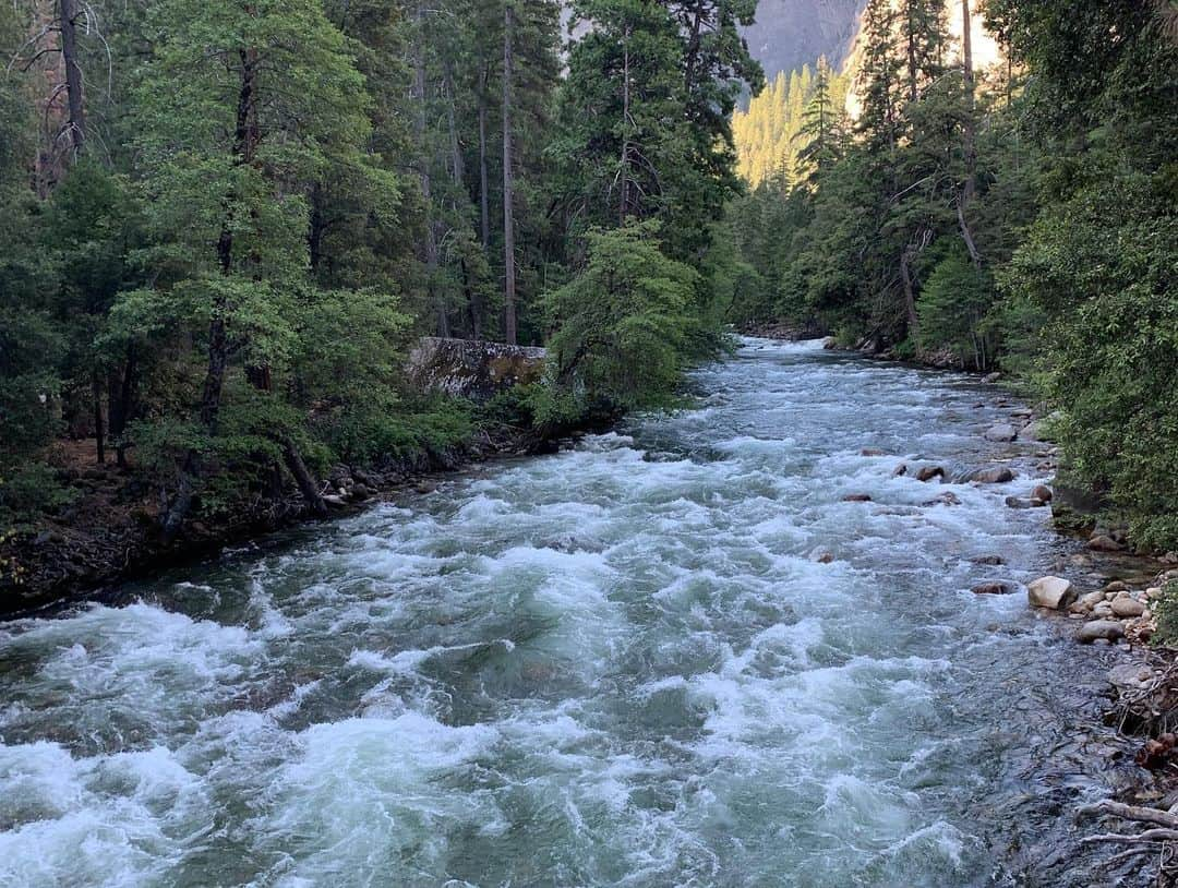 ルーシー・ヘイルさんのインスタグラム写真 - (ルーシー・ヘイルInstagram)「HAPPY BIRTHDAY to our Mother Earth ! I was supposed to take another solo trip to Yosemite this year, but because of current circumstances have had to delay. But here are some pics from last years trip to show how beautiful the world is there. I actually couldn’t believe what I was seeing and taking pictures of was real. Thank you Earth for being so majestic and giving us so much beauty. I hope we can all learn to take a little better care of you. In recent days, I’ve never seen the skies so clear in Los Angeles 🌎」4月23日 1時26分 - lucyhale