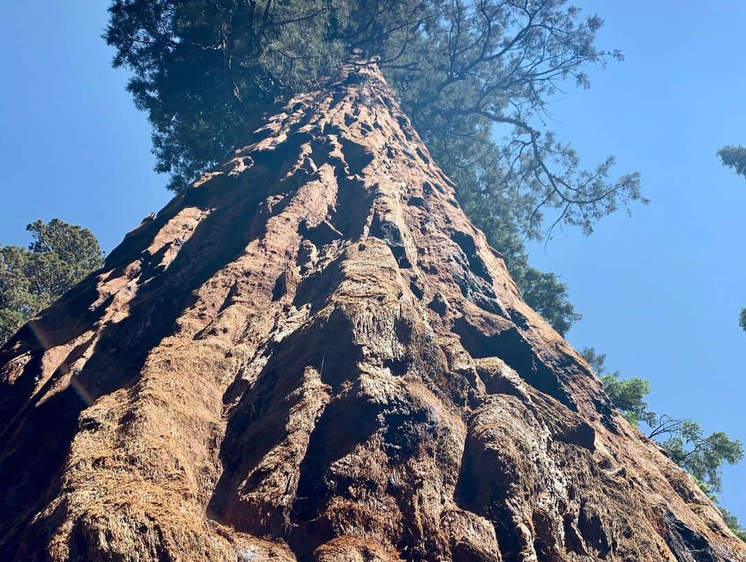 ルーシー・ヘイルさんのインスタグラム写真 - (ルーシー・ヘイルInstagram)「HAPPY BIRTHDAY to our Mother Earth ! I was supposed to take another solo trip to Yosemite this year, but because of current circumstances have had to delay. But here are some pics from last years trip to show how beautiful the world is there. I actually couldn’t believe what I was seeing and taking pictures of was real. Thank you Earth for being so majestic and giving us so much beauty. I hope we can all learn to take a little better care of you. In recent days, I’ve never seen the skies so clear in Los Angeles 🌎」4月23日 1時26分 - lucyhale