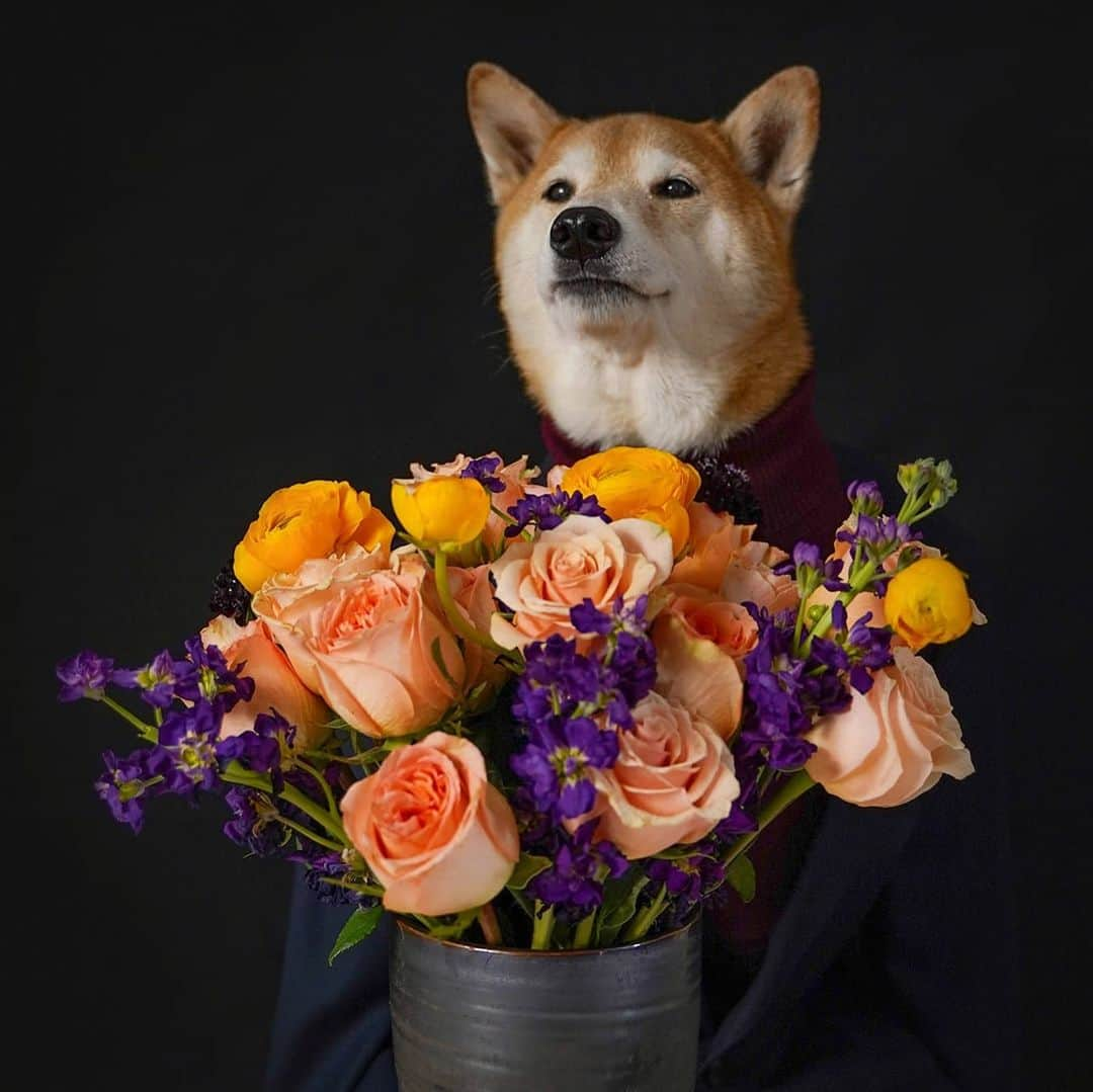 Menswear Dogさんのインスタグラム写真 - (Menswear DogInstagram)「Stop and Smell the Flowers  It's easy to forget that it's Spring when we're spending so much time indoors so we've collaborated with @urbanstems to bring you of fragrant, colorful Springtime vibes  Tag someone who brings brightness to your day with a Thank You message: we will send out 5 fresh bouquets IRL so we can spread the love around 💐🙏」4月23日 1時30分 - mensweardog