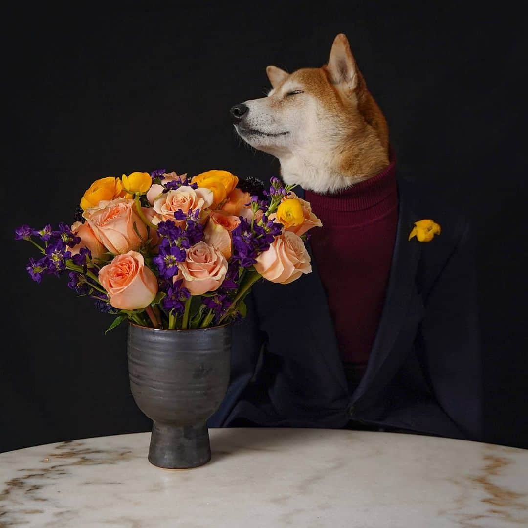 Menswear Dogのインスタグラム：「Stop and Smell the Flowers  It's easy to forget that it's Spring when we're spending so much time indoors so we've collaborated with @urbanstems to bring you of fragrant, colorful Springtime vibes  Tag someone who brings brightness to your day with a Thank You message: we will send out 5 fresh bouquets IRL so we can spread the love around 💐🙏」