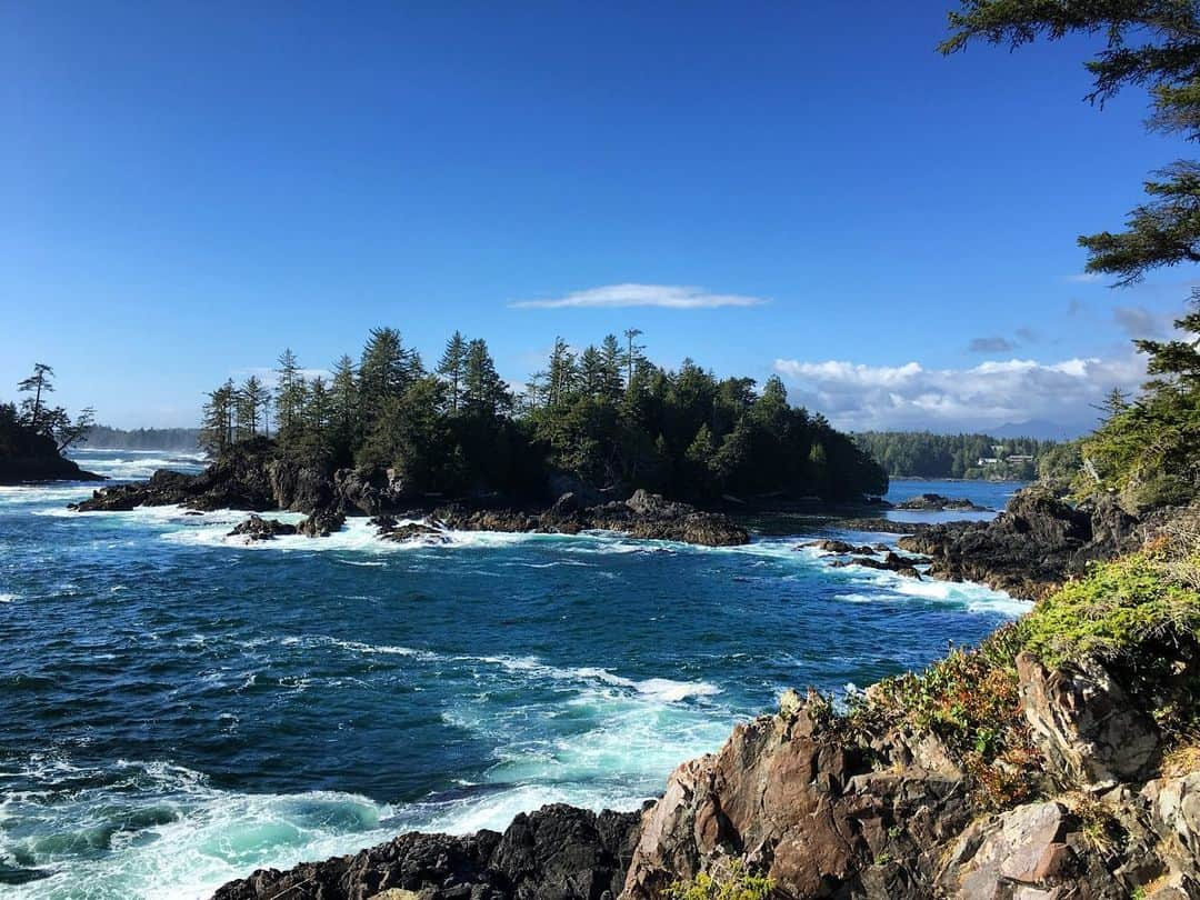 エミリー・スワローさんのインスタグラム写真 - (エミリー・スワローInstagram)「Missing the mountains and the oceans this #EarthDay.  Looking forward to the time when we can all frolic together in both. #earthday2020 #protectwhatyoulove #surfriderearthday #seatosky」4月23日 2時25分 - bigeswallz