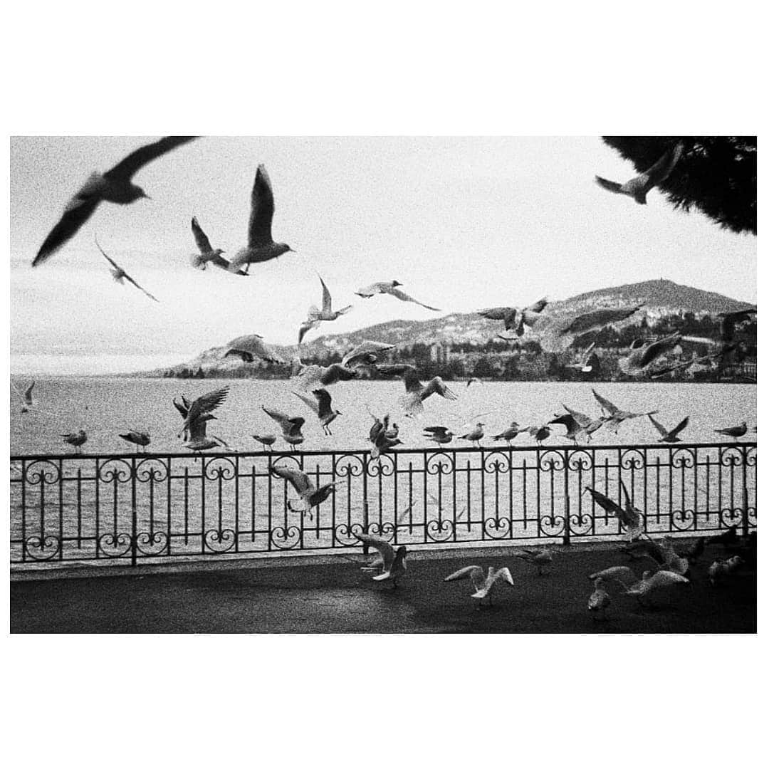 マルコス・フレイタスのインスタグラム：「8 photographs and 8 cities, can you name some of them? 📷📍 (Unedited film photography)」