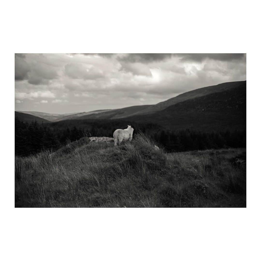 ケイト・ハリソンさんのインスタグラム写真 - (ケイト・ハリソンInstagram)「Dear Earth, 🌏 Rest, Recover and take this moment of quiet to regrow your roots. You are very appreciated. #thankyouEarth #Earthday」4月23日 13時59分 - thekateharrison