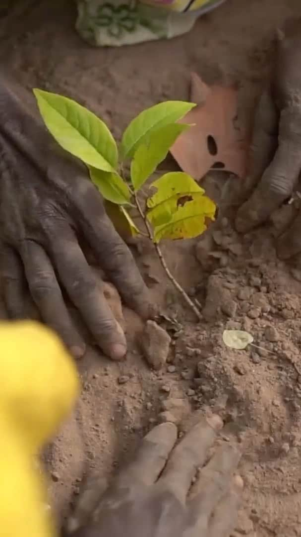 タラ・リンのインスタグラム：「Love your Mother Earth, turn your compassion into action, support @treesforthefuture 💚 #humannature #earthday #letsgetplanting #treesforthefuture」