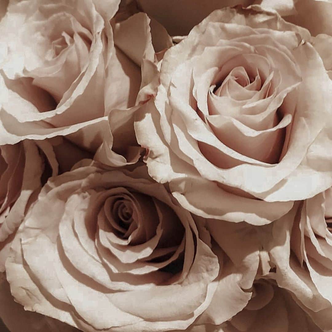 Aylen Aのインスタグラム：「A woman’s heart should be so hidden in God that a man has to seek him just to find her. 🌸 Maya Angelou 🌸」