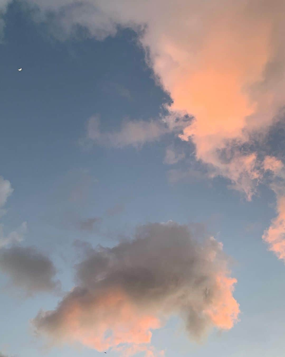 レオニー・ハンネさんのインスタグラム写真 - (レオニー・ハンネInstagram)「Happy Earth Day. 🌍  I never knew how much I could miss nature in all it’s beautiful facets. The ocean, the sound of waves and wind... I promise myself that after this, I’ll never take small things for granted and to see all the wonders every day. As Albert Einstein said: ‘There’s only two ways to live: as if nothing is a miracle or, as if everything is a miracle.’ ☁️💕 These are some pictures I took during my last vacay in Tulum, capturing our daily sunset... I went out every day to not miss a second of it.  #earthday #motherearth #tulum」4月23日 6時02分 - leoniehanne