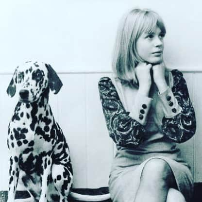 大森美希さんのインスタグラム写真 - (大森美希Instagram)「Lockdown Day 37 🔐  Marianne Faithfull Forever...🍀 60年代のアイコン、マリアンヌ・フェイスフルが新型コロナのためロンドンの病院に3週間入院していたが無事退院し自宅療養に🏠🍀良かった😊  #mariannefaithfull #sixties #muse #dog #60s #inspiration #todaysmood #vintagestyle #vintagefashion #lockdown #confinement #paris #stayhome #restonscheznous #マリアンヌフェイスフル #ファッションアイコン #ミューズ #60年代アイドル #犬と一緒 #わんこ #ファッション #ヴィンテージ #今日のムード #外出制限 #パリ #海外生活 #パリ生活 #インスピレーション #峰不二子のモデル #うちで過ごそう」4月23日 6時25分 - mikiomori_