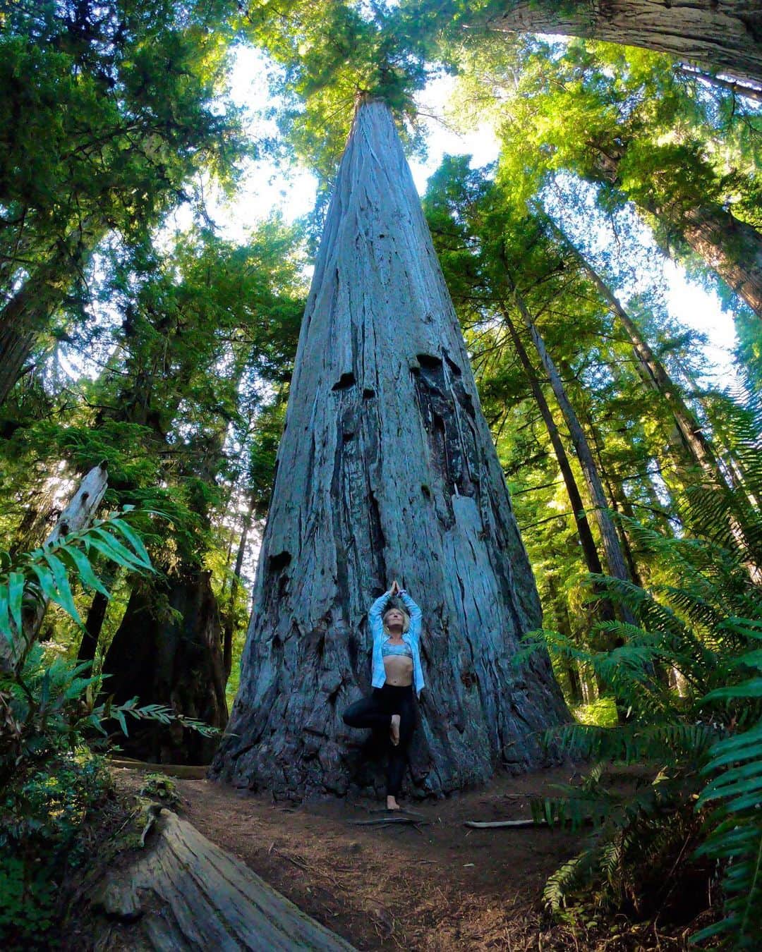 のインスタグラム：「Happy Earth day all you earthlings! 🌎💙🙌☀️🌲 May we never take for granted all that mother  earth gives... we are blessed... 🙏  Here’s a few of my favorite places on this beautiful planet... where’s your favorite place?  #earthday #california #redwoods #britishcolumbia #newzealand」