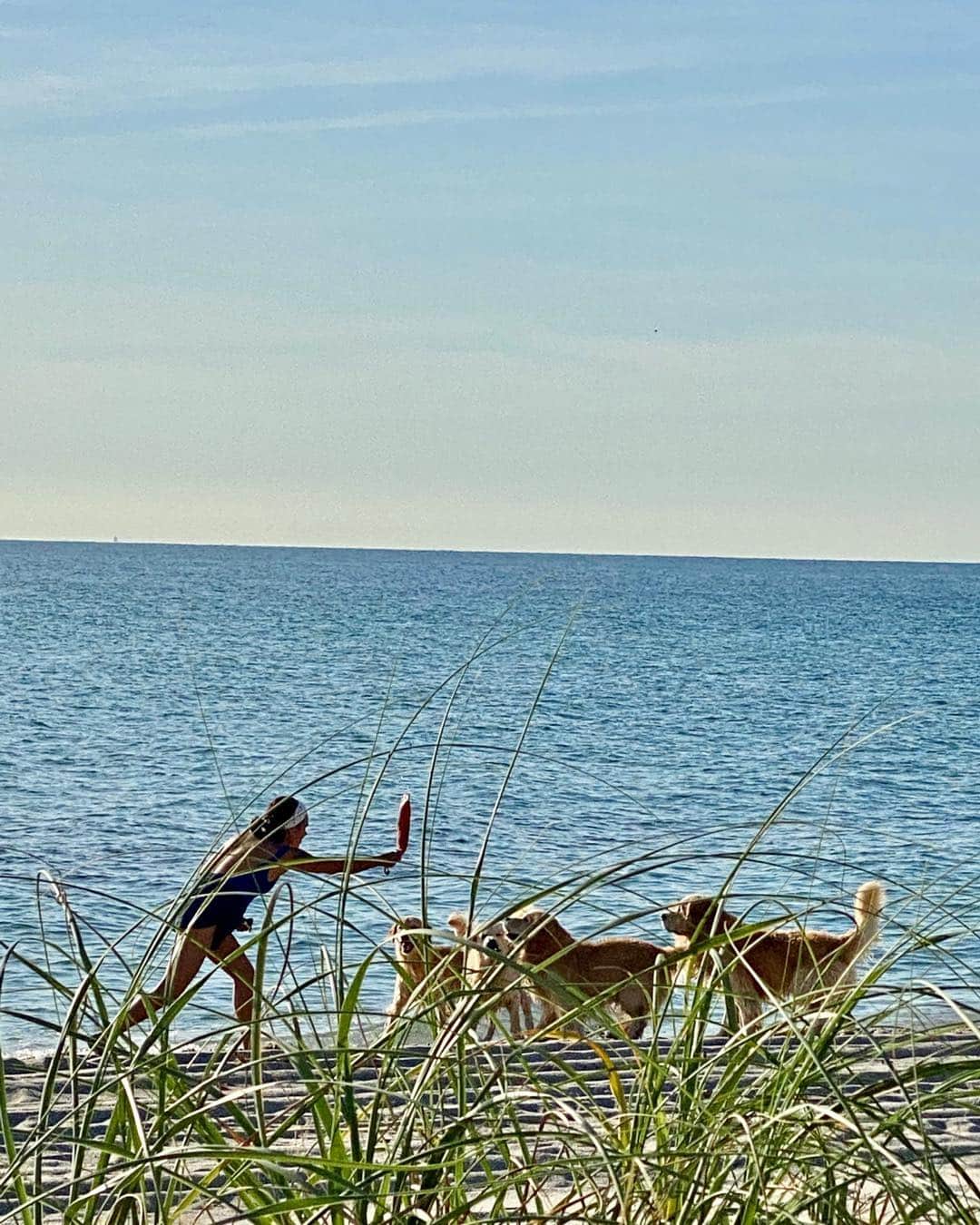 ブルース・ウェーバーさんのインスタグラム写真 - (ブルース・ウェーバーInstagram)「The best earth day can be playing with a stick to throw for the dogs into clear ocean water 🐾.」4月23日 6時27分 - bruce_weber