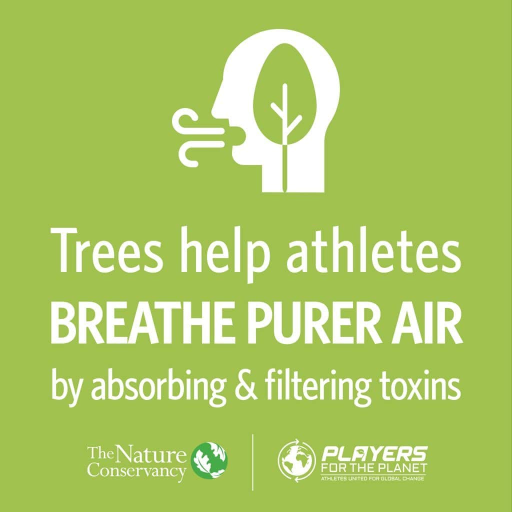 バド・ノリスのインスタグラム：「In honor of #EarthDay 50th anniversary, I’m joining forces with @playersfortheplanet and @nature_org to recognize the impact that nature (especially trees! 🌲) has on the sports and outdoor activities we love. Take action from home today by planting trees with TNC at bit.ly/planttrees2day #mlb #playersfortheplanet」