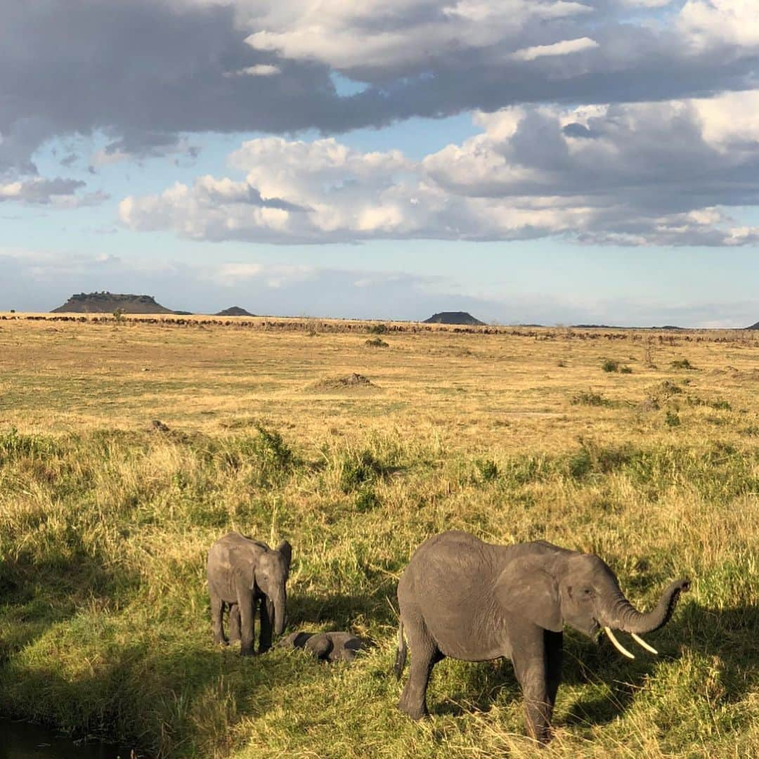 アリッサンドラ・アロノウさんのインスタグラム写真 - (アリッサンドラ・アロノウInstagram)「So thankful for our 🌍. The time is now to be responsible global citizens. Let’s protect our planet...every day! #EarthDay」4月23日 7時14分 - alissandra.aronow