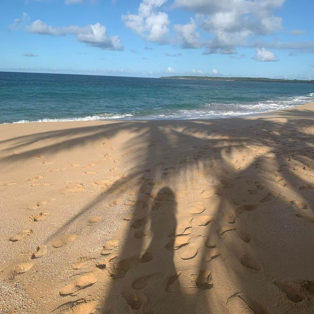 ローレン・ハウレギさんのインスタグラム写真 - (ローレン・ハウレギInstagram)「Thank you mama Gaia for being as beautiful, nurturing, empathetic, forgiving, brave, powerful, abundant, glorious, awe-inspiring, divine, strong, and incredible as you are. You deserve to know you could never be limited to a day of celebration, every sunset is a testament to your majesty, every gust of wind, every oxygen and shade producing tree, ever bird chirp, every crashing wave, every running river, every magical being that exists in this realm is of you for us to have a place to exist and experience pure joy and I couldn’t be more grateful to experience your superior nature in this life time💕 thank you for housing us and providing for us when we harm you with so little regard for what you truly mean to us. I’m grateful for every moment of peace I find in silence surrounded by your essence. I love you, I love you, I love you. #HappyEarthDay ✨💕」4月23日 7時22分 - laurenjauregui