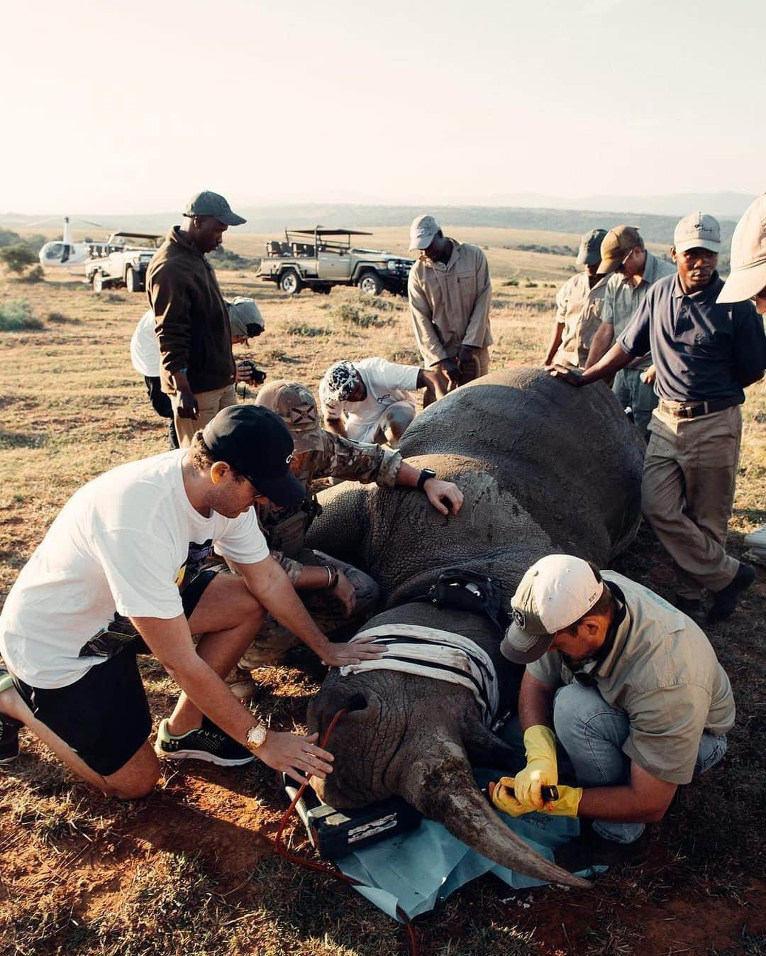 ティモシー・サイクスさんのインスタグラム写真 - (ティモシー・サイクスInstagram)「Our planet is so incredible and since today is #earthday I gotta say how grateful I am to have met so many amazing animals and be able to support the hardworking charities that care for them through the @karmagawa Foundation founded by @badboi and myself. It’s a scary time for too many species that we will lose in the next few years unless we make some serious changes with the way we live and treat this planet and the Coronavirus, which likely is a zoonotic disease that spread to humans due to unhygienic wild animal markets, should be a wakeup call to everyone! WE MUST RESPECT ANIMALS, OUR PLANET AND EACH OTHER MUCH MORE — let’s come out of this crisis wiser and more full of gratitude/love/appreciation before we create another crisis that kills even more innocent people and animals alike! #endanimalcruelty #animallover #happyearthday #coronavirus #karmagawa #drjewlittle」4月23日 7時54分 - timothysykes