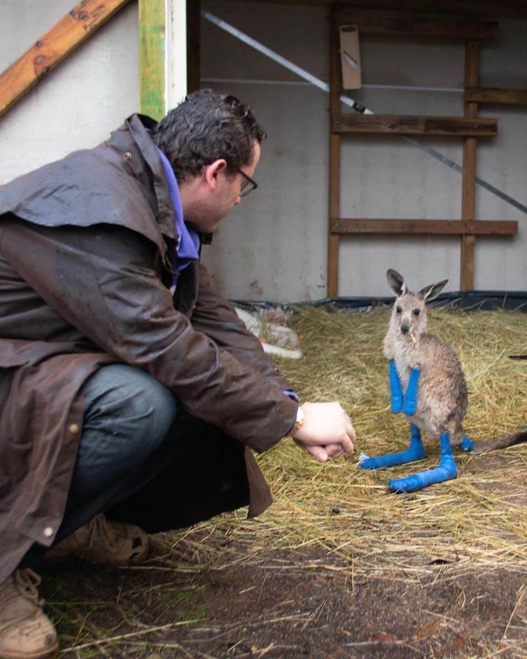 ティモシー・サイクスさんのインスタグラム写真 - (ティモシー・サイクスInstagram)「Our planet is so incredible and since today is #earthday I gotta say how grateful I am to have met so many amazing animals and be able to support the hardworking charities that care for them through the @karmagawa Foundation founded by @badboi and myself. It’s a scary time for too many species that we will lose in the next few years unless we make some serious changes with the way we live and treat this planet and the Coronavirus, which likely is a zoonotic disease that spread to humans due to unhygienic wild animal markets, should be a wakeup call to everyone! WE MUST RESPECT ANIMALS, OUR PLANET AND EACH OTHER MUCH MORE — let’s come out of this crisis wiser and more full of gratitude/love/appreciation before we create another crisis that kills even more innocent people and animals alike! #endanimalcruelty #animallover #happyearthday #coronavirus #karmagawa #drjewlittle」4月23日 7時54分 - timothysykes