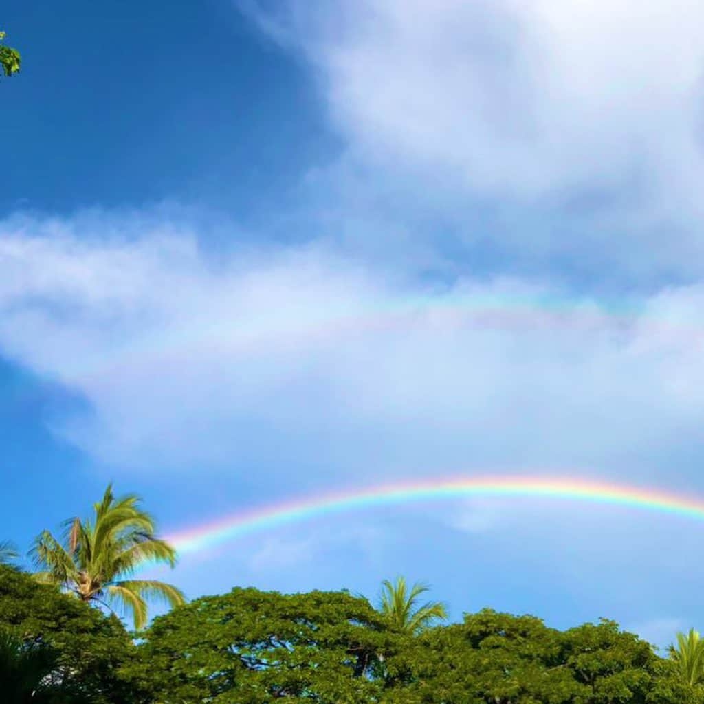 エビアン・クーさんのインスタグラム写真 - (エビアン・クーInstagram)「Happy earth day - blessed to grow up in Hawaii where we are all surrounded by nature. Truly it’s a magical place 🌍 🌺🌞🌈🐠 #地球の日」4月23日 7時59分 - avian_official