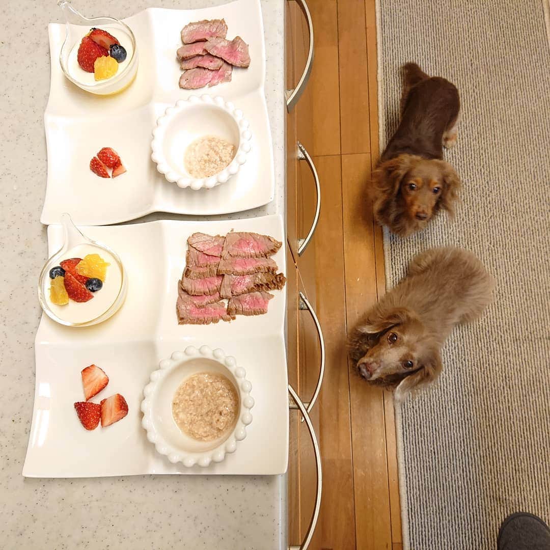 くるみんのインスタグラム：「* 昨日はこむぎさんのお誕生日に たくさんの方からお祝いメッセージをいただき、ありがとうございました💓 お返事がいつもゆっくりで申し訳ないんですが、順番にさせていただきます❗  昨日のディナー ローストビーフ、オレンジとクリームチーズ&豆乳のゼリー、レバースープ、フルーツです🍴 * #ミニチュアダックスフンド #ミニチュアダックスフント #ミニチュアダックス #イザベラタン #イザベラ #カニンヘンダックスフント #カニンヘン #カニンヘンダックス #カニンヘンダックスフンド #チョコタンダックスフント #チョコタンダックスフンド #チョコタンダックス #チョコタン #ダックス多頭飼い #ダックスフント #ダックスフンドカニンヘン #ダックス部 #ダックス大好き #ダックスフンド #ダックス #ディナー #誕生日パーティー #いぬばか部 #いぬすたぐらむ #短足部 #dachshundgram #dachshund #dogstagram #instagramdog #7pets_1day」