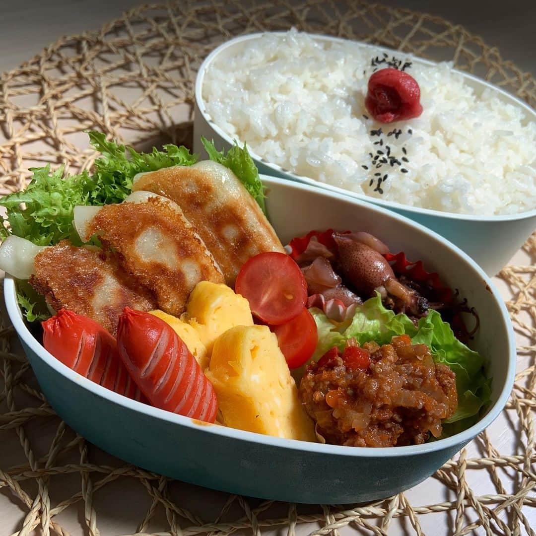 本田しおりのインスタグラム：「#今日のお弁当  #餃子弁当🥟 #餃子🥟#タコミート#ホタルイカソテー#卵焼き#赤ウインナー  #お弁当 #本田弁当 #旦那さん弁当 #神ちゃん弁当」