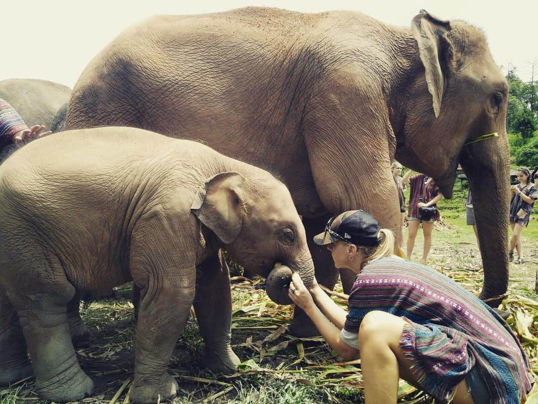 ジョディ・スウィーティンさんのインスタグラム写真 - (ジョディ・スウィーティンInstagram)「Oh, what I wouldn’t give to be back in Thailand, celebrating some of Mother Earth’s grandest and most beautiful animals at the @elephantjunglesanctuary  On this Earth Day, I HATE being in quarantine, but I think Earth and Nature are restoring themselves just a bit while we stay at home.  When we all go back out there... let’s remember to treat our Mother kindly. We only get one.  #earthday2020🌍」4月23日 11時42分 - jodiesweetin