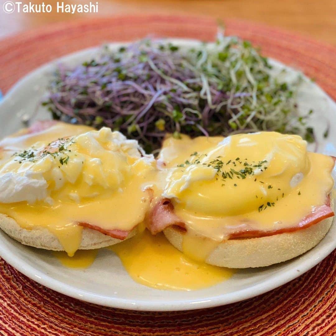 サンフレッチェ広島さんのインスタグラム写真 - (サンフレッチェ広島Instagram)「【林家のある日の朝食】 実はチームでも随一の料理の腕前を持つと噂のあった林卓人選手から、ついに自身が作った朝食写真が届きました🍽  料理したのは何ともお洒落な『エッグベネディクト』✨ 本人が「ハワイの気分になりたくて作った」と言うお店に出てきてもおかしくない見た目も見事な一品は、卵にフォークを入れた瞬間に黄身が見事に滴り落ちる林選手の自信作となっています👍  林選手の奥さまも、料理自慢の良き主人を下記のとおりベタ褒めです💕 「こう見えてレシピ通り丁寧に調理するし、味もお店で食べるより美味しいです。外食ができない状況の中、お店で食べてる気分になれて家族みんな喜んでます。作った後は洗い物もちゃんとしてくれます」  写真にあるように、料理中は頭が換気扇に付くほど体のサイズがある林選手（188cm）💪 ですが、手先は器用で家族思いの優しい男です😆 奥さんや子どもがいる世の中のご主人さまたち、時間がある時はぜひ林選手と同じく美味しい料理を提供してみてはいかがでしょうか💁‍♂️ #林卓人 選手 #おうちごはん #sanfrecce」4月23日 11時50分 - sanfrecce.official