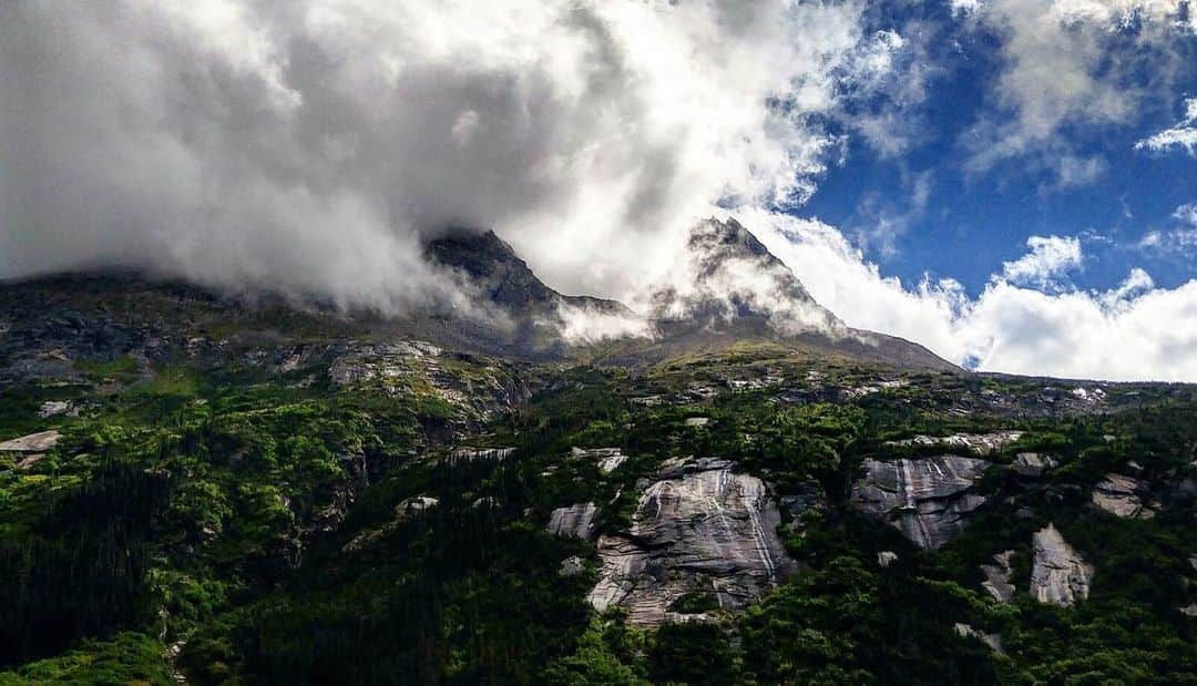 レイチェル・パーソンズさんのインスタグラム写真 - (レイチェル・パーソンズInstagram)「“As long as I live, I'll hear waterfalls and birds and winds sing. I'll interpret the rocks, learn the language of flood, storm, and the avalanche. I'll acquaint myself with the glaciers and wild gardens, and get as near the heart of the world as I can" - John Muir  Happy Earth Day🌎」4月23日 12時39分 - raemarie.parsons