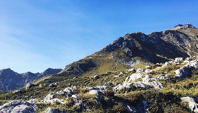 レイチェル・パーソンズさんのインスタグラム写真 - (レイチェル・パーソンズInstagram)「“As long as I live, I'll hear waterfalls and birds and winds sing. I'll interpret the rocks, learn the language of flood, storm, and the avalanche. I'll acquaint myself with the glaciers and wild gardens, and get as near the heart of the world as I can" - John Muir  Happy Earth Day🌎」4月23日 12時39分 - raemarie.parsons